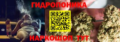 шишки Бийск