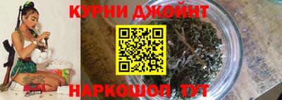 шишки Бийск