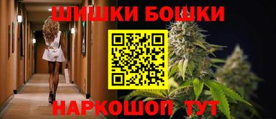 шишки Бийск