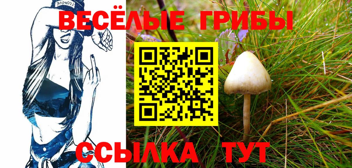 Галлюциногенные грибы Psilocybine cubensis Изобильный