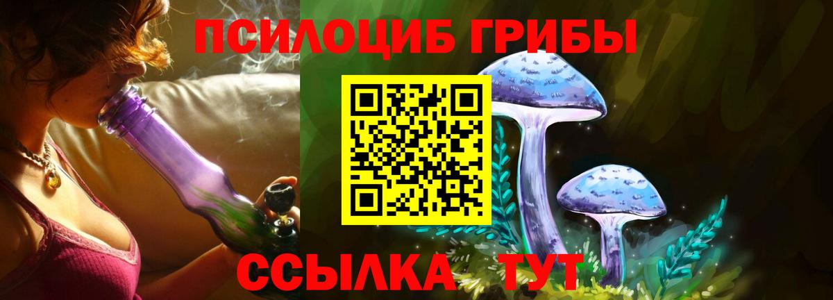 Псилоцибиновые грибы GOLDEN TEACHER  Галлюциногенные грибы прущие грибы  Вход с VPN  Изобильный 